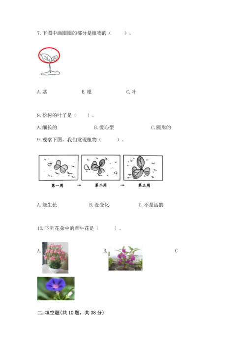 教科版一年级上册科学期末测试卷及答案（精品）.docx