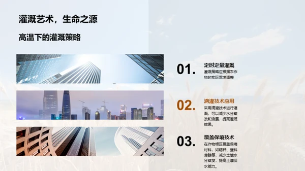 大暑农业应对策略