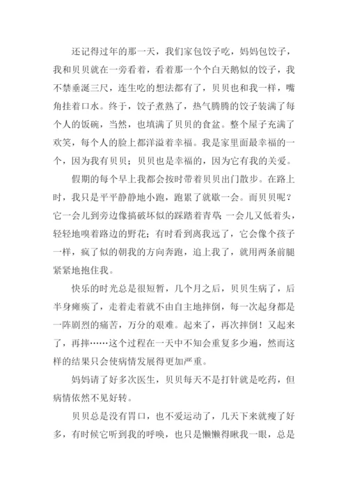 我永远忘不了你作文.docx