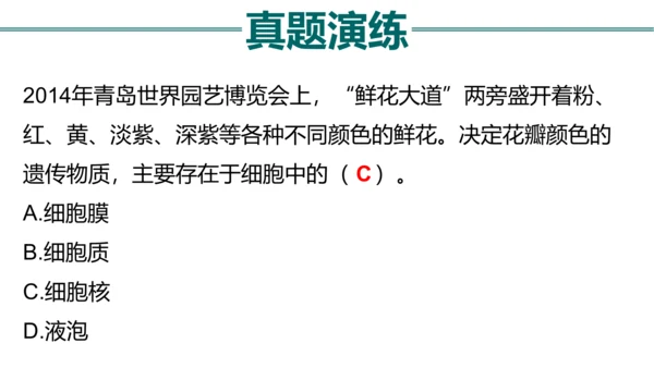 七上 第二单元生物体的结构层次-复习课件(共35张PPT)