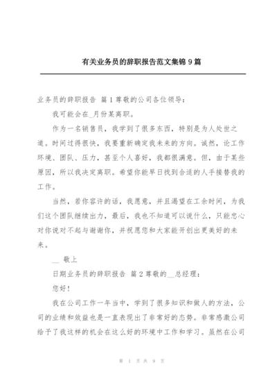 有关业务员的辞职报告范文集锦9篇.docx