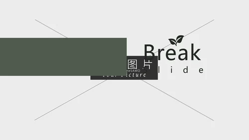 清新典雅绿茶果汁品牌茶文化宣传PPT模板