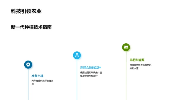 革新水稻种植