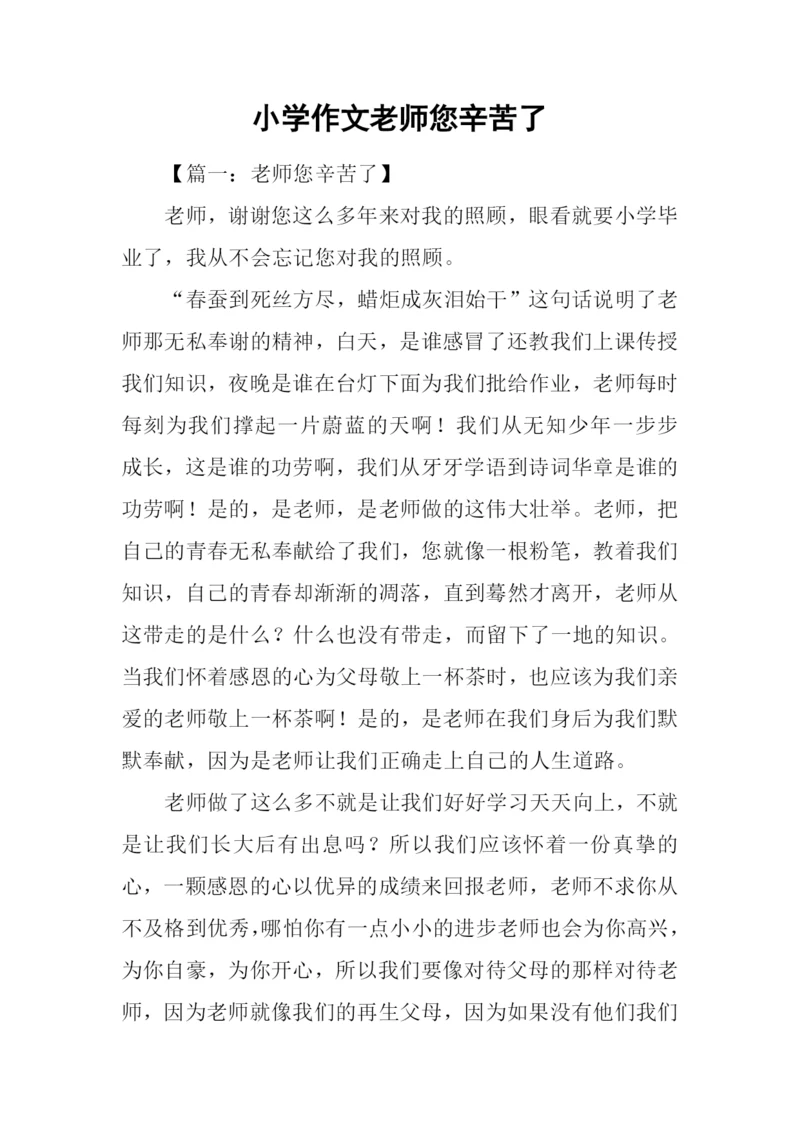 小学作文老师您辛苦了.docx