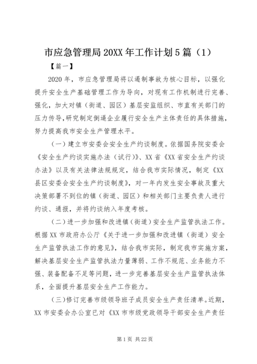 市应急管理局20XX年工作计划5篇（1） (2).docx