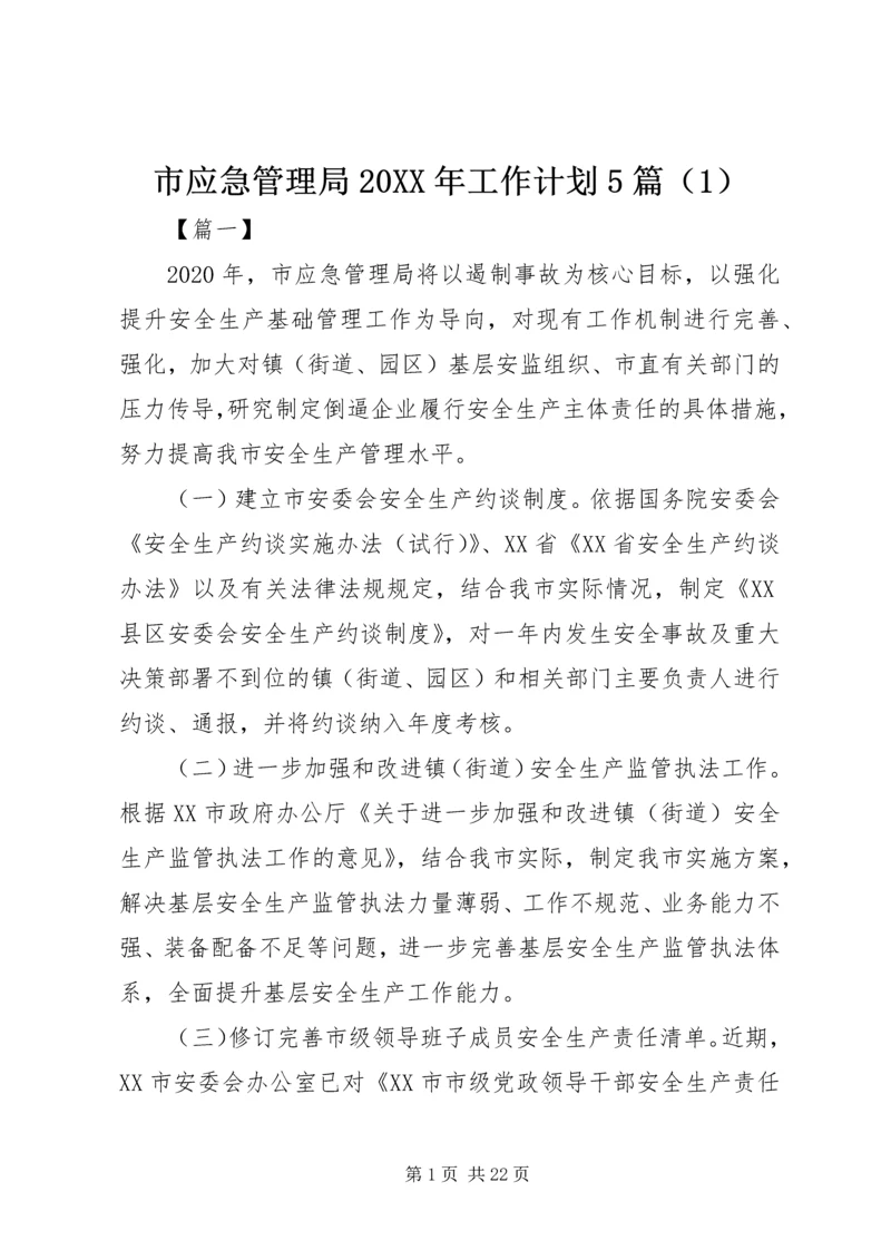 市应急管理局20XX年工作计划5篇（1） (2).docx