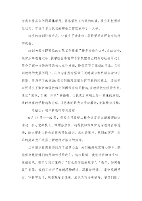 初中新老师培训总结