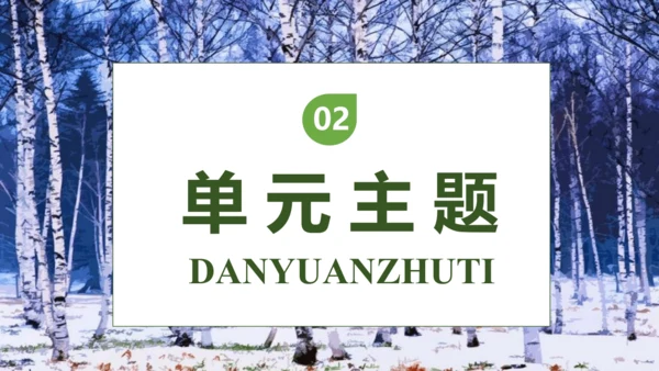【核心素养】部编版语文四年级下册-11.白桦 第1课时（课件）