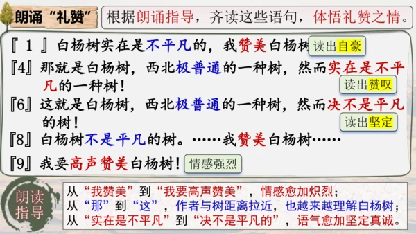 15 白杨礼赞 课件