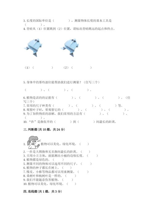 教科版一年级上册科学期末测试卷【网校专用】.docx