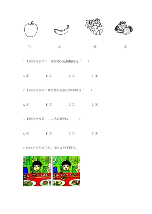 教科版二年级下册科学期末测试卷附答案【培优b卷】.docx