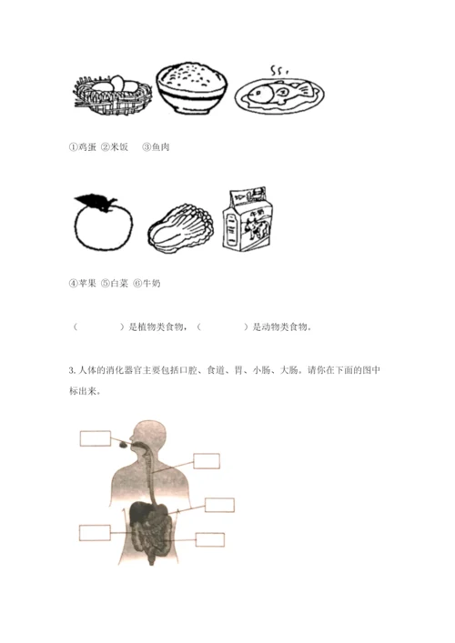 教科版四年级上册科学期末测试卷全面.docx