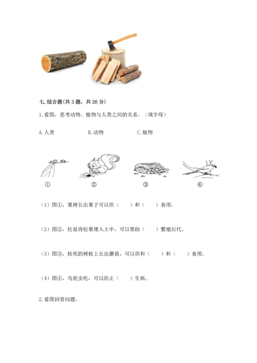 教科版二年级上册科学期末测试卷附参考答案（研优卷）.docx