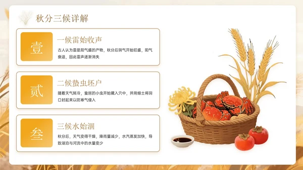 棕色系中国风秋分节气PPT模板