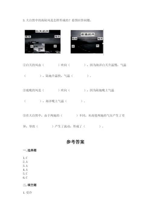 教科版三年级上册科学期末测试卷带答案（巩固）.docx