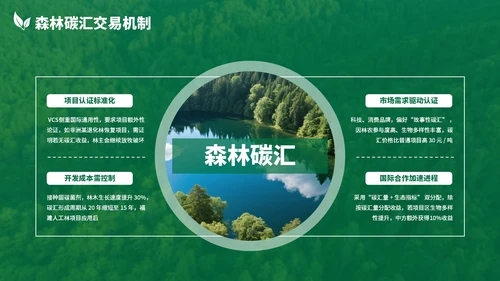 绿色清新森林生态环境保护调研汇报PPT模板