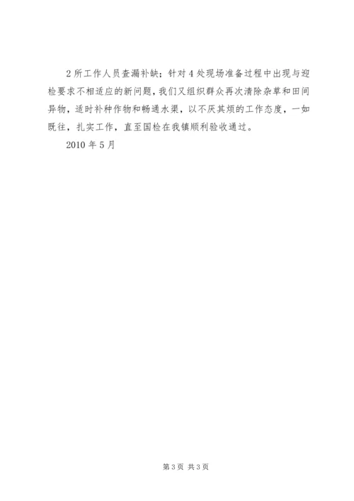 孝子村完小迎国检汇报材料 (3).docx