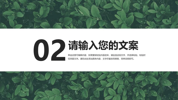 绿色清新简约风月度总结PPT模板