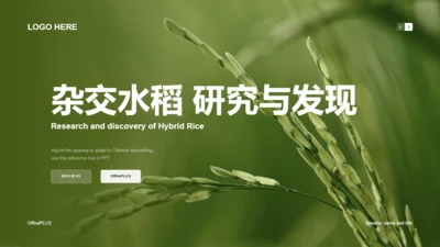 绿色水稻商务风研究报告PPT案例