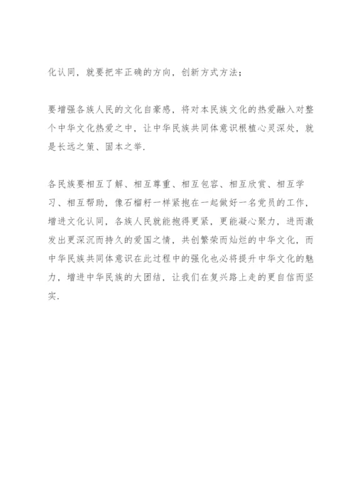 筑牢中华民族共同体意识发生亮剑.docx