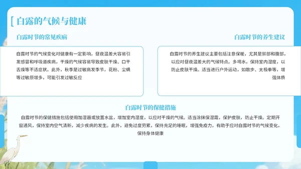 蓝绿色中国风白露节气知识宣传PPT
