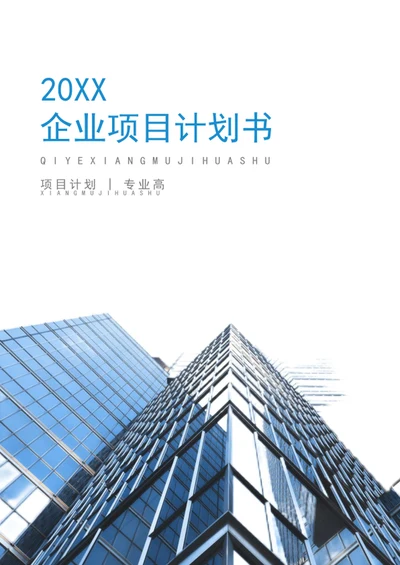 项目计划书