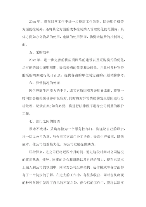 普通个人工作计划.docx