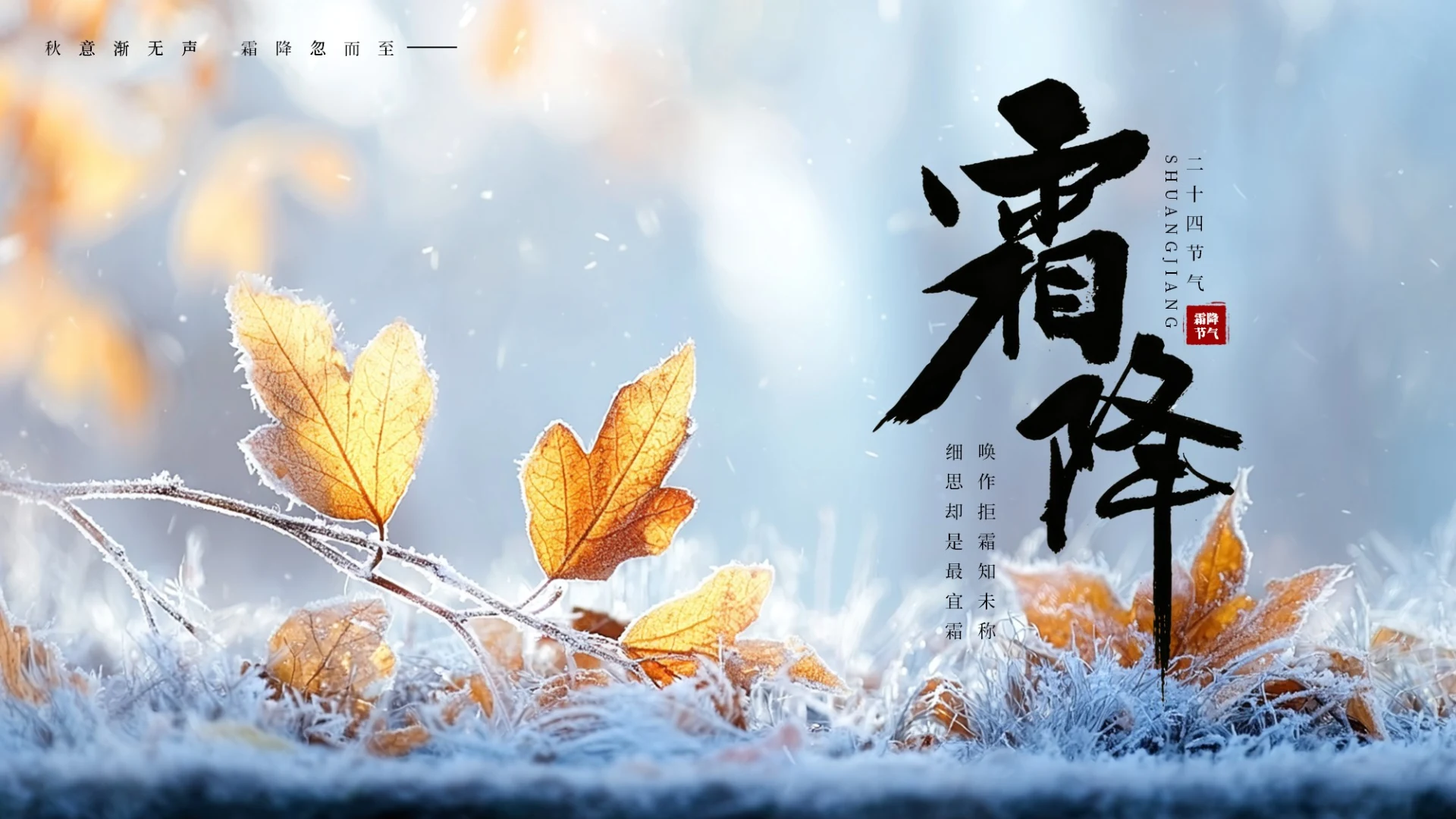 蓝色国风二十四节气霜降节气PPT模板