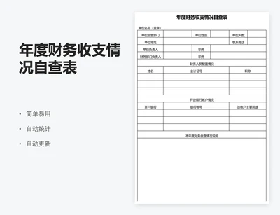 年度财务收支情况自查表