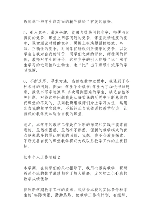 初中个人工作总结大全5篇.docx