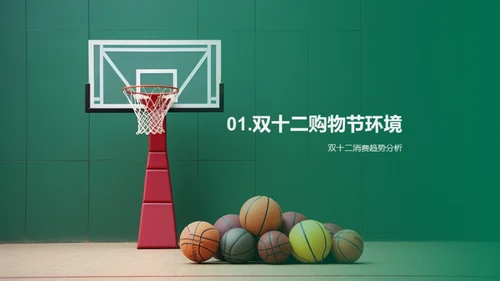 双十二体育新品策略