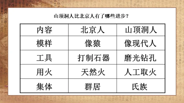 初中历史《人类起源》教学通用PPT课件