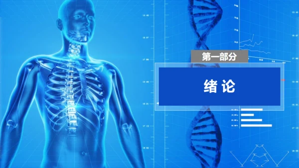 人体奥秘医学解剖学学术论文通用PPT模版