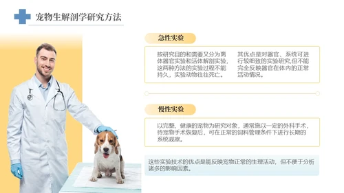 实拍风宠物解剖生理宠物解剖生理讲座PPT
