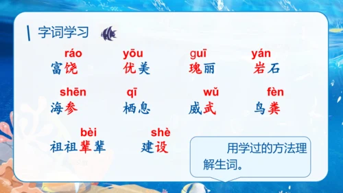 第18课《富饶的西沙群岛》课件