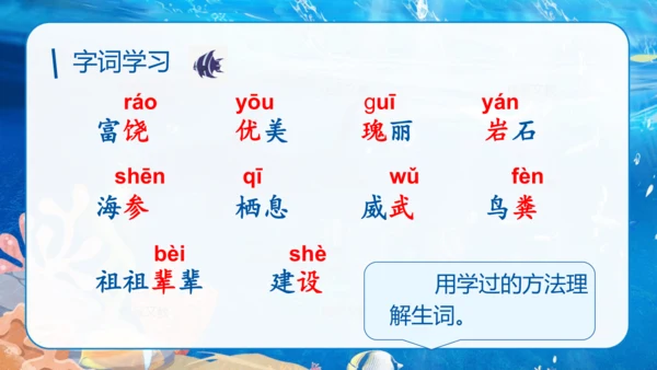 第18课《富饶的西沙群岛》课件
