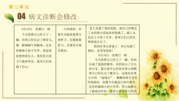 统编版语文四年级上册2024-2025学年度第三单元习作： 写观察日记（课件）