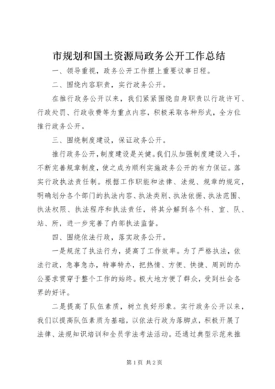 市规划和国土资源局政务公开工作总结.docx