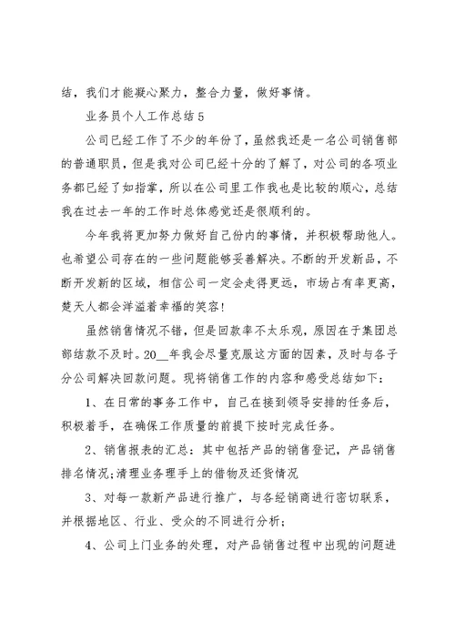 公司业务员个人工作年度总结5篇范文
