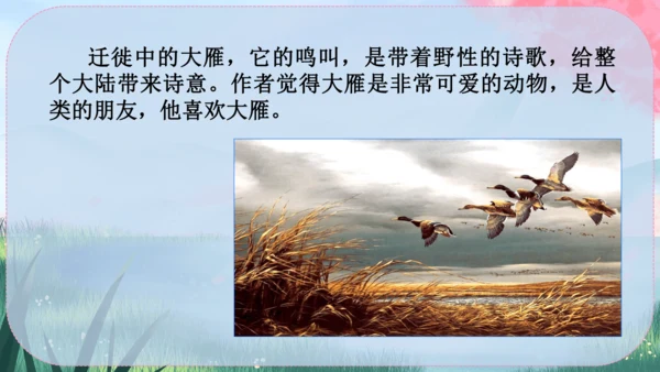 19《大雁归来》课件
