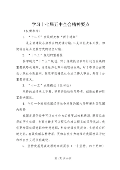 学习十七届五中全会精神要点.docx