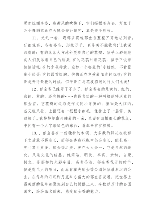 郁金香唯美句子.docx