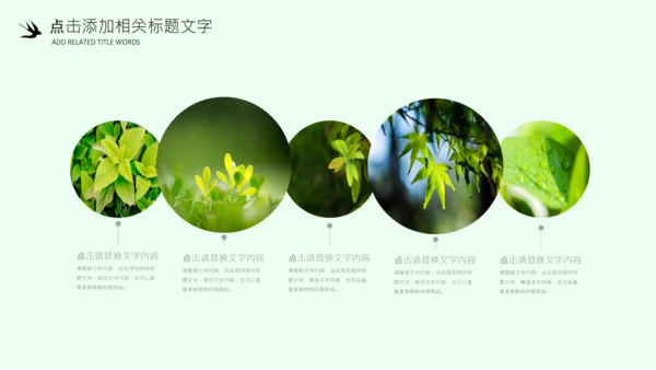 清明节气清新绿色清明节踏青PPT模板