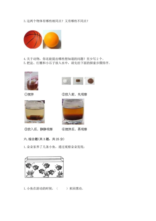 教科版一年级下册科学期末测试卷附参考答案（培优b卷）.docx
