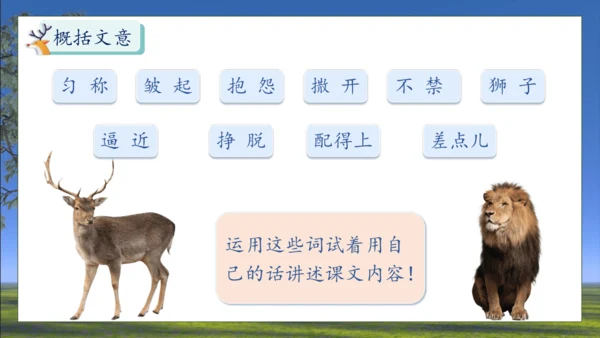 【核心素养】部编版语文三年级下册-7. 鹿角和鹿腿 第1课时（课件）