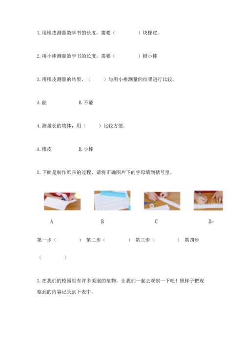 教科版一年级上册科学期末测试卷附参考答案（轻巧夺冠）.docx
