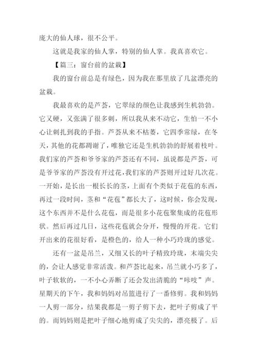 写物的作文500字.docx