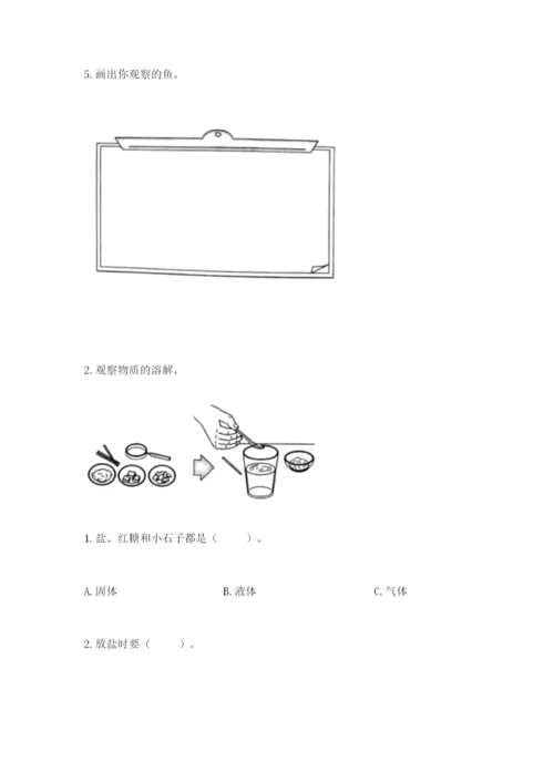 教科版一年级下册科学期末测试卷及参考答案（预热题）.docx