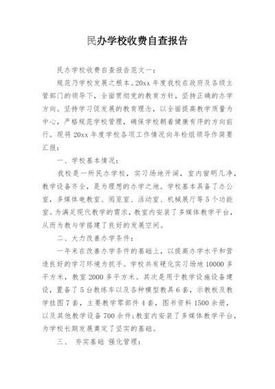 民办学校收费自查报告.docx