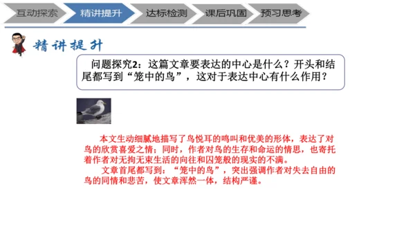 七年级上册《鸟》+“人与动物”教学设计PPT